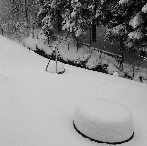 Nad Strumyczkiem - Goscinne - Z Przymrozeniem Oka 홈스테이 슈차이르크