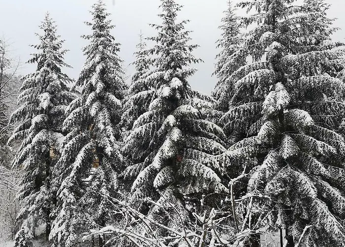Nad Strumyczkiem - Goscinne - Z Przymrozeniem Oka
